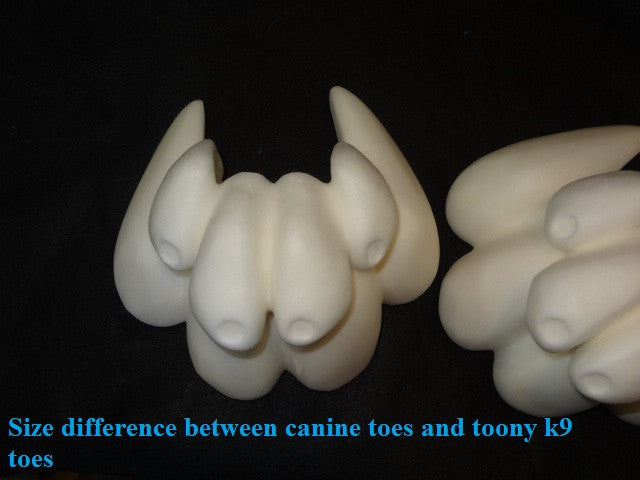 Foam Large Toony Canine Toes