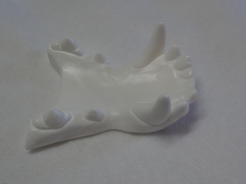 Opaque Single Color Canine Jawset