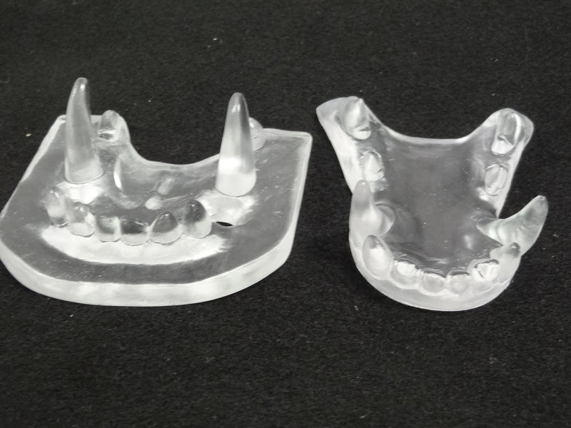 Clear Canine Jawset