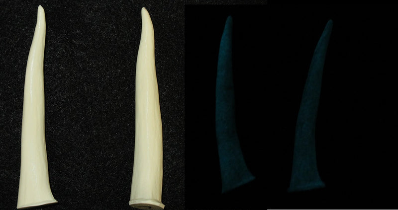 Plastic Glow in the Dark Large Smooth Antler Tips
