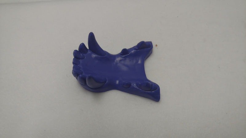 Opaque Single Color Canine Jawset