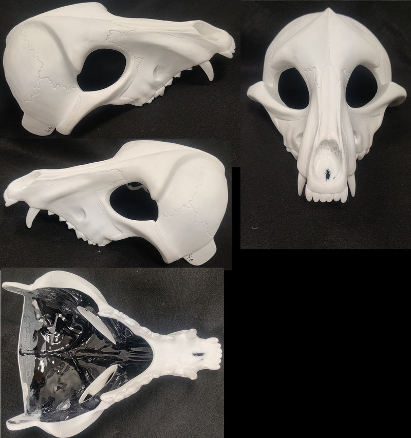 Skeletal K9 Upper Jaw Mask