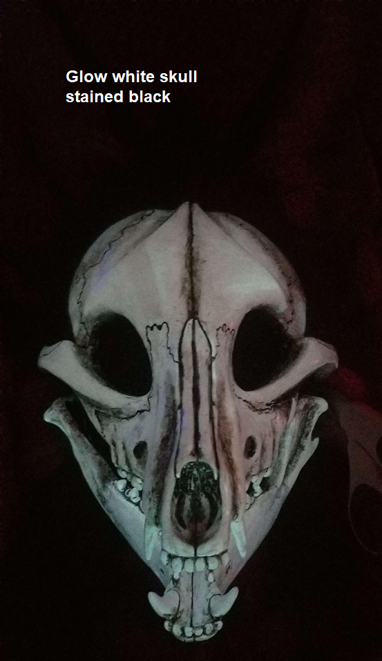 Máscara de resina con bisagras y corte felino de calavera Toony que brilla en la oscuridad
