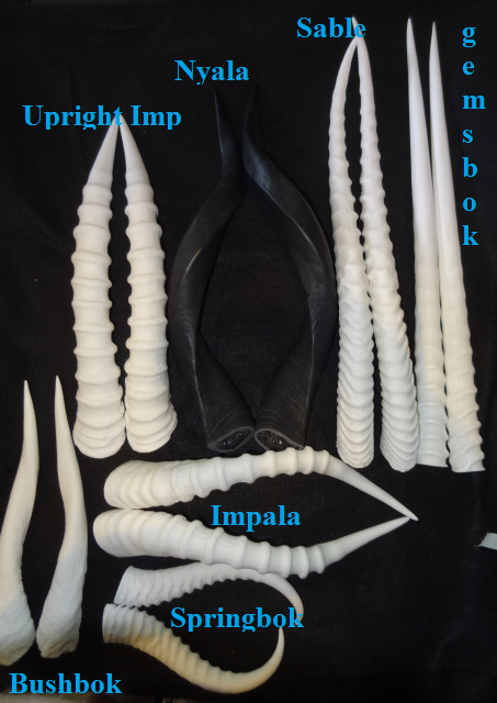 Cuernos de antílope Nyala opacos de plástico