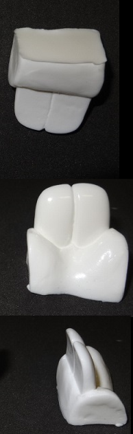 Opaque Single Color Bunny Top Jawset