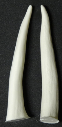 Plastic Opaque Large Smooth Antler Tips