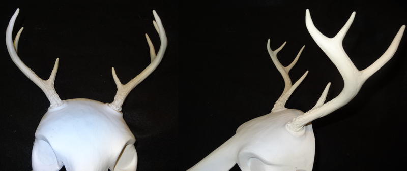 Plastic Opaque Small Whitetail Deer Antlers
