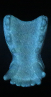 Mandíbula K9 pequeña que brilla en la oscuridad de un solo color