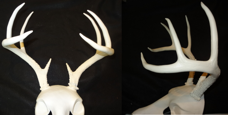 Plastic Opaque Large Whitetail Deer Antlers